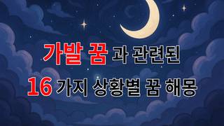 꿈해몽｜가발 꿈의 신비로운 의미, 당신의 마음속 이야기를 담다｜16가지분석