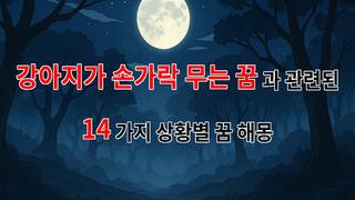 강아지가 손가락을 물다, 그 꿈의 깊은 의미를 찾아서 - 14가지분석