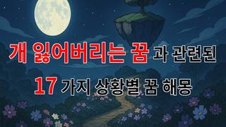 개를 잃어버리는 꿈, 그 속에 감춰진 마음의 이야기 - 17가지분석