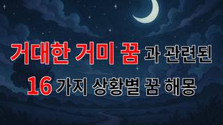 거대한 거미 꿈, 당신의 내면을 들여다보는 신비로운 이야기 - 16가지분석