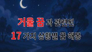 거울 속의 나, 꿈속에서 만난 또 다른 나의 이야기 - 17가지분석