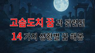 고슴도치 꿈, 소중한 감정을 지켜주는 꿈해몽 - 14가지분석