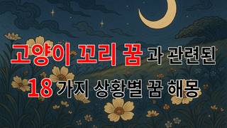 꿈해몽｜고양이 꼬리 꿈, 그 속에 숨겨진 의미를 알아보아요｜18가지분석