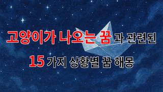 고양이가 나오는 꿈, 그 안에 숨은 메시지와 감정들 - 15가지분석