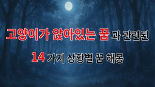 꿈해몽｜고양이가 앉아있는 꿈, 그 속에 숨겨진 의미를 찾아서｜14가지분석