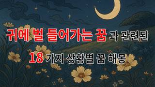 귀에 벌이 들어가는 꿈, 그 의미와 감정의 연관성 - 18가지분석