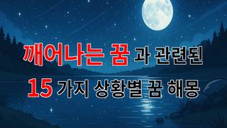 깨어나는 꿈: 당신의 내면을 들여다보는 신비로운 여정 - 15가지분석
