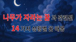 나무가 자라는 꿈, 새로운 시작의 상징으로 다가오는 꿈해몽 - 14가지분석