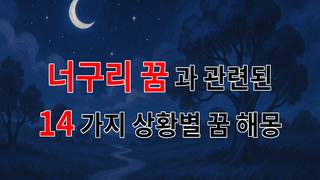 꿈해몽｜너구리 꿈, 당신의 마음속 깊은 곳을 들여다보는 꿈해몽｜14가지분석