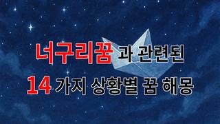 너구리꿈, 당신의 마음속에 숨겨진 이야기들 - 14가지분석