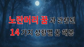 노란머리 꿈: 희망과 변화의 상징으로서의 꿈해몽 - 14가지분석