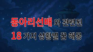 꿈해몽｜동아리 선배와의 소중한 추억을 담은 꿈, 그 의미는 무엇일까요?｜18가지분석