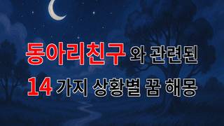 꿈해몽｜동아리친구와의 소중한 순간들, 꿈속에서 다시 만나는 우리｜14가지분석