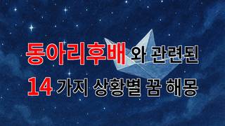 꿈해몽｜동아리 후배와의 따뜻한 추억, 꿈속에서 다시 만난다면｜14가지분석
