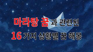 마라탕 꿈, 뜨거운 국물 속의 나를 찾아가는 여정 - 16가지분석