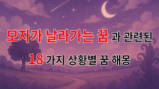 모자가 날라가는 꿈, 자유와 불안의 경계를 넘나드는 꿈해몽 - 18가지분석