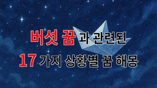 버섯 꿈, 그 신비로운 의미를 찾아서 - 17가지분석