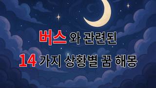 꿈해몽｜버스와 함께 하는 꿈, 그 속에 담긴 나의 이야기｜14가지분석
