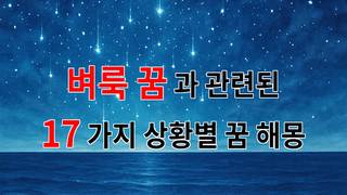 벼룩 꿈, 작은 존재가 전하는 큰 메시지 - 17가지분석