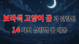 꿈해몽｜보라색 고양이 꿈: 신비로운 상징과 감정의 연결｜14가지분석
