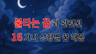 불타는 꿈, 그 열망과 갈망의 의미를 찾아서 - 16가지분석