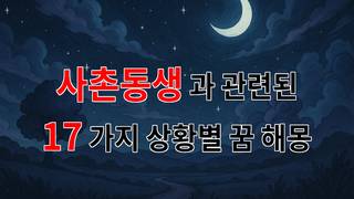 꿈해몽｜사촌동생과의 소중한 추억, 꿈속에서 다시 만나는 그 모습｜17가지분석