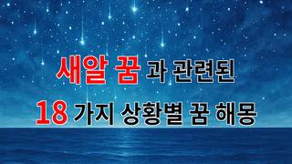 꿈해몽｜새알 꿈, 그 속에 숨겨진 의미를 찾아서｜18가지분석
