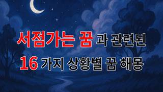 꿈해몽｜서점가는 꿈: 책 속의 세계로 떠나는 여정｜16가지분석