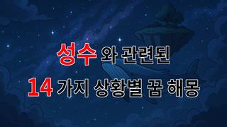 꿈해몽｜성수에서 만난 꿈의 조각들, 그 의미를 함께 찾아봐요.｜14가지분석