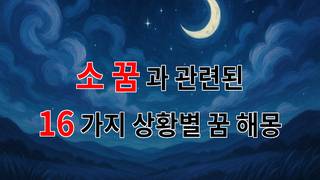 소 꿈, 그 따스한 감정의 조각들 - 16가지분석