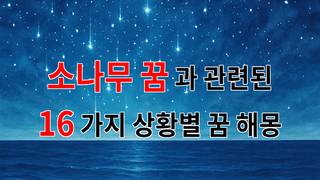 소나무 꿈: 자연과의 연결을 느끼는 꿈해몽 - 16가지분석