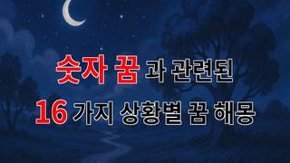 숫자 꿈, 그 의미를 찾아 떠나는 감성적인 여정 - 16가지분석