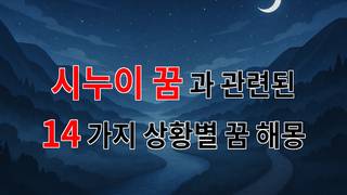 시누이 꿈, 그 속에 숨겨진 의미를 찾아서 - 14가지분석