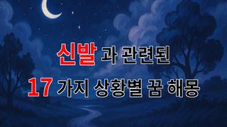 신발의 꿈, 당신의 발걸음에 담긴 이야기 - 17가지분석