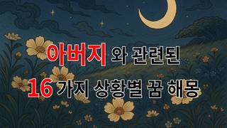 아버지와의 소중한 기억, 꿈속에서 다시 만나다 - 16가지분석