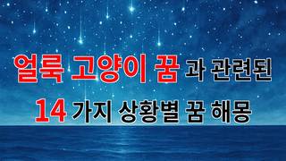 얼룩 고양이 꿈, 당신의 마음속 깊은 소망을 비추다 - 14가지분석