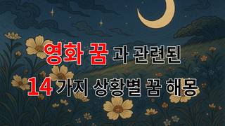 꿈해몽｜영화 꿈, 그 속에 숨겨진 나의 진짜 이야기를 찾아서｜14가지분석