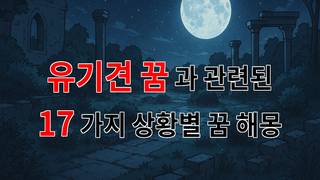 유기견 꿈, 그 속에 숨겨진 진짜 의미를 찾아서 - 17가지분석