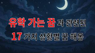 꿈해몽｜유학 가는 꿈, 그 꿈속에 숨겨진 나의 열망을 찾아서｜17가지분석