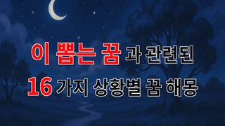 이 뽑는 꿈, 그 속에 담긴 의미와 감정의 여정 - 16가지분석