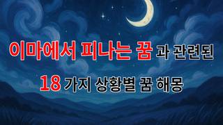 이마에서 피나는 꿈, 그 속에 숨겨진 의미를 찾아서 - 18가지분석