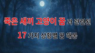죽은 새끼 고양이 꿈, 그 속에 숨겨진 의미를 찾아서 - 17가지분석