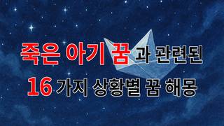 죽은 아기 꿈, 잃어버린 사랑의 흔적을 찾아서 - 16가지분석