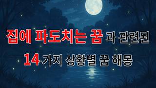 집에 파도치는 꿈: 마음의 깊은 물결을 탐험하다 - 14가지분석
