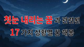 첫눈 내리는 꿈, 그 속에 숨겨진 나의 감정과 이야기 - 17가지분석