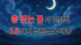 꿈해몽｜총 맞는 꿈, 그 속에 숨겨진 의미를 찾아서｜15가지분석