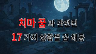 치마 꿈, 당신의 마음속에 숨겨진 이야기들 - 17가지분석