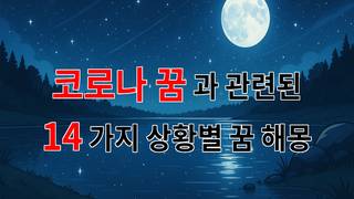 코로나로 인한 꿈, 그 속에 숨겨진 나의 감정들 - 14가지분석