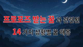 꿈해몽｜프로포즈 받는 꿈, 사랑의 시작을 알리는 신호일까요?｜14가지분석