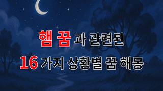 햄 꿈, 그 속에 숨겨진 진짜 의미는 무엇일까요? - 16가지분석